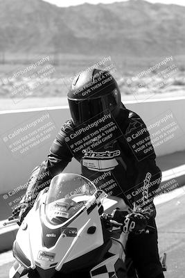 media/Mar-08-2025-TrackXperience (Sat) [[277b597a28]]/1-Around the Pits - Pre Grid/